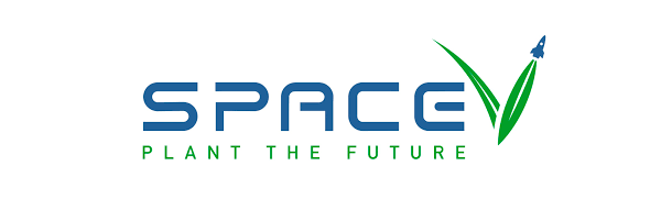 Space V